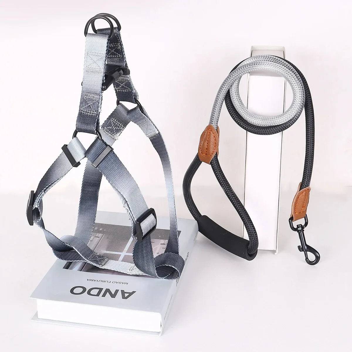Small Dog Chest Harness with Leash Set - Puppy Training Kit - Grey-Black / S (S)