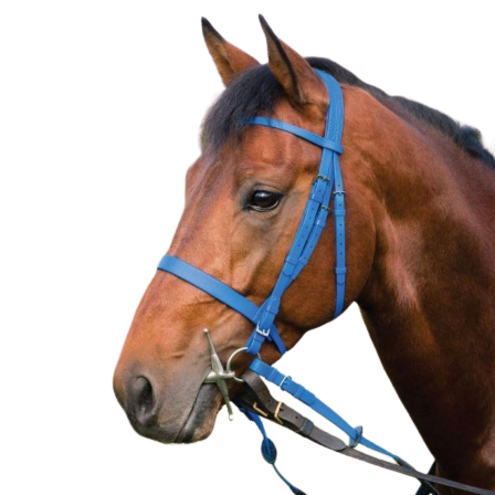 Zilco Epsom trænings trense - Royal blå