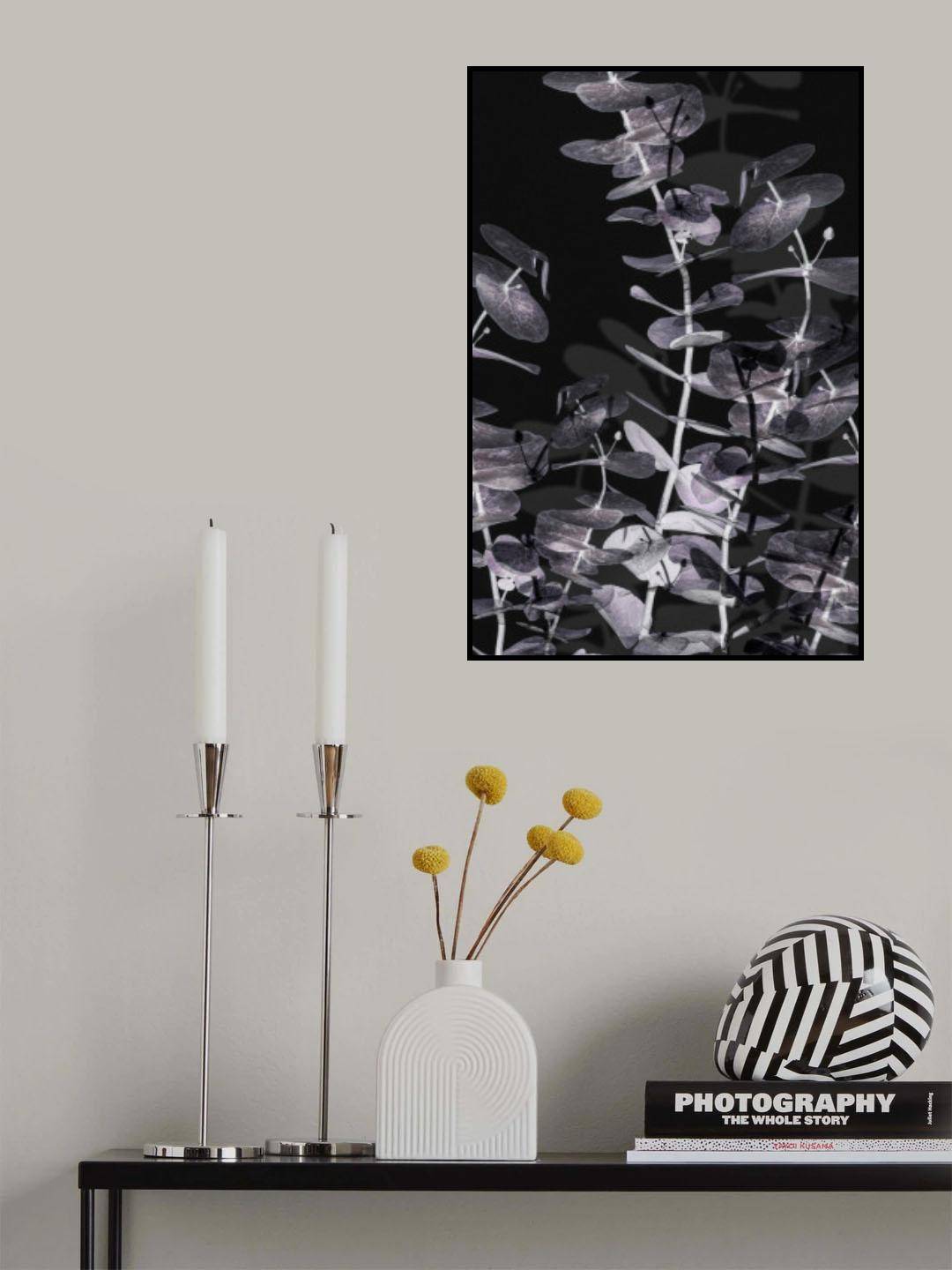 Eucalyptus_Negative_002 Poster och Canvastavla - Canvas 50x70 cm