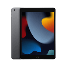 Apple iPad 9th Gen (2021) Rymdgrå, 256 GB, WiFi, Mycket bra skick