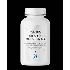 Holistic Mega B metylerad 90 kapslar