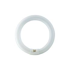 Philips Master TL-E Lysstofrør Cirkel, 40 W, 3200 lm Lys farve: 830