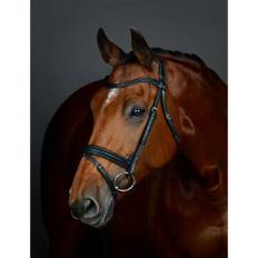Weatherbeeta Collegiate Comfitec Opulux Plain Padded Hanoverian Flash Bridle