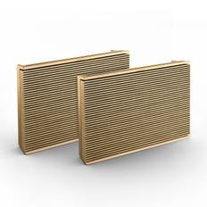 Bang & Olufsen Level x2 Trådlös högtalare med batteri - 3 års medlemsgaranti