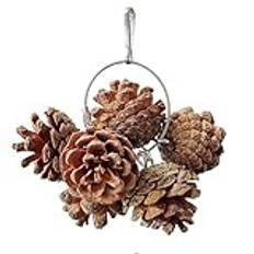 Pinecone Parrot Toy, Natural Nuts Chew, Bird Chewing Toy, Cage Accessories Birds, Parrot Chew Toys, Bird Toys Cage, Chew Toys Birds, Macaw Chewing Toy, Parakeet Chew Toys, Cockatoo Cage Accessories