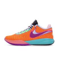 Nike, Sko, Herre, Flerfarvet, 42 1/2 EU, LeBron XX Basketballsko