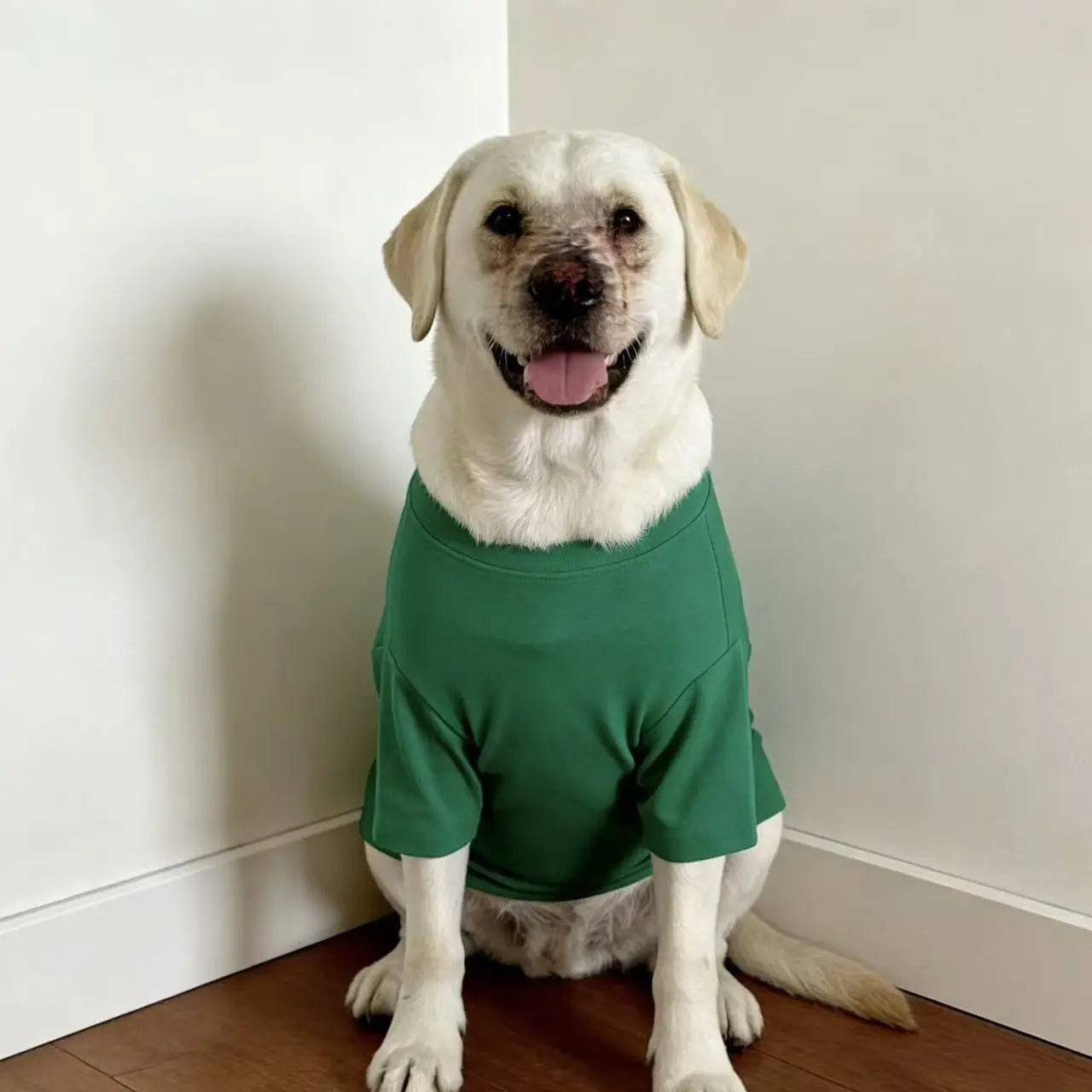 Soft Breathable Dog Cooling Vest Shirt | Casual Summer Top for Medium & Large Dogs - Green / L (L)