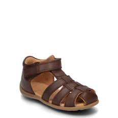 BISGAARD Bisgaard Carly |Brown |20