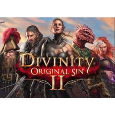 Divinity: Original Sin 2 (PC) GOG.com Key - GLOBAL