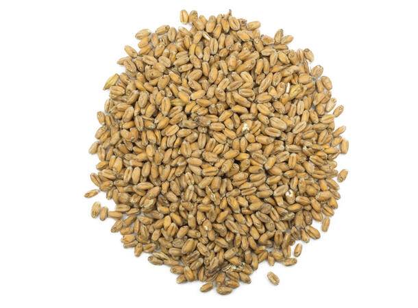 Vetemalt 1 kg krossad