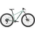 Specialized Rockhopper Comp 29"
