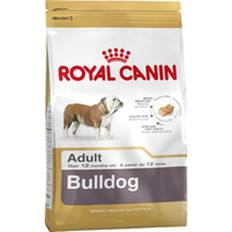 Foder Royal Canin Bulldog Adult Vuxen Kyckling Kött Ris Fåglar 12 kg