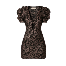 Dress Kitty Golden Cheetah - Brown - S - HALEWSKI - Mini dresses