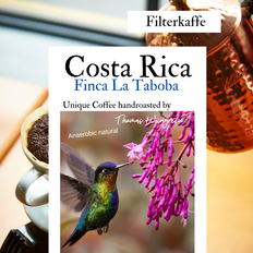 Costa Rica, Finca La Taboba, Don Senel Anaerobic, friskristet kaffe, hele bønner 100 gr