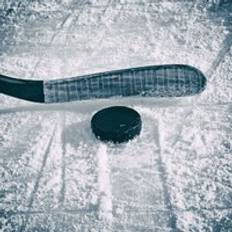 Ishockey puckar vintersport puck bollar officiell storlek för att öva klassisk träning