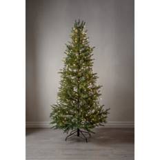 Star Trading Julgransslinga Shiny Warm White 2m 594-63