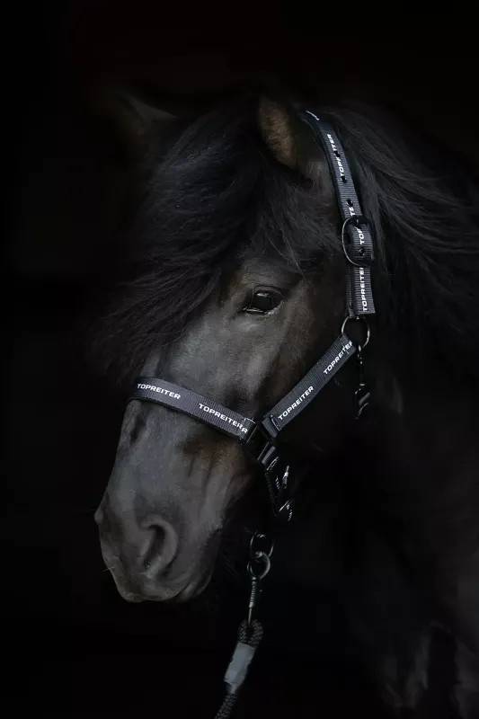 Top Reiter Grimset med logga (Svart)