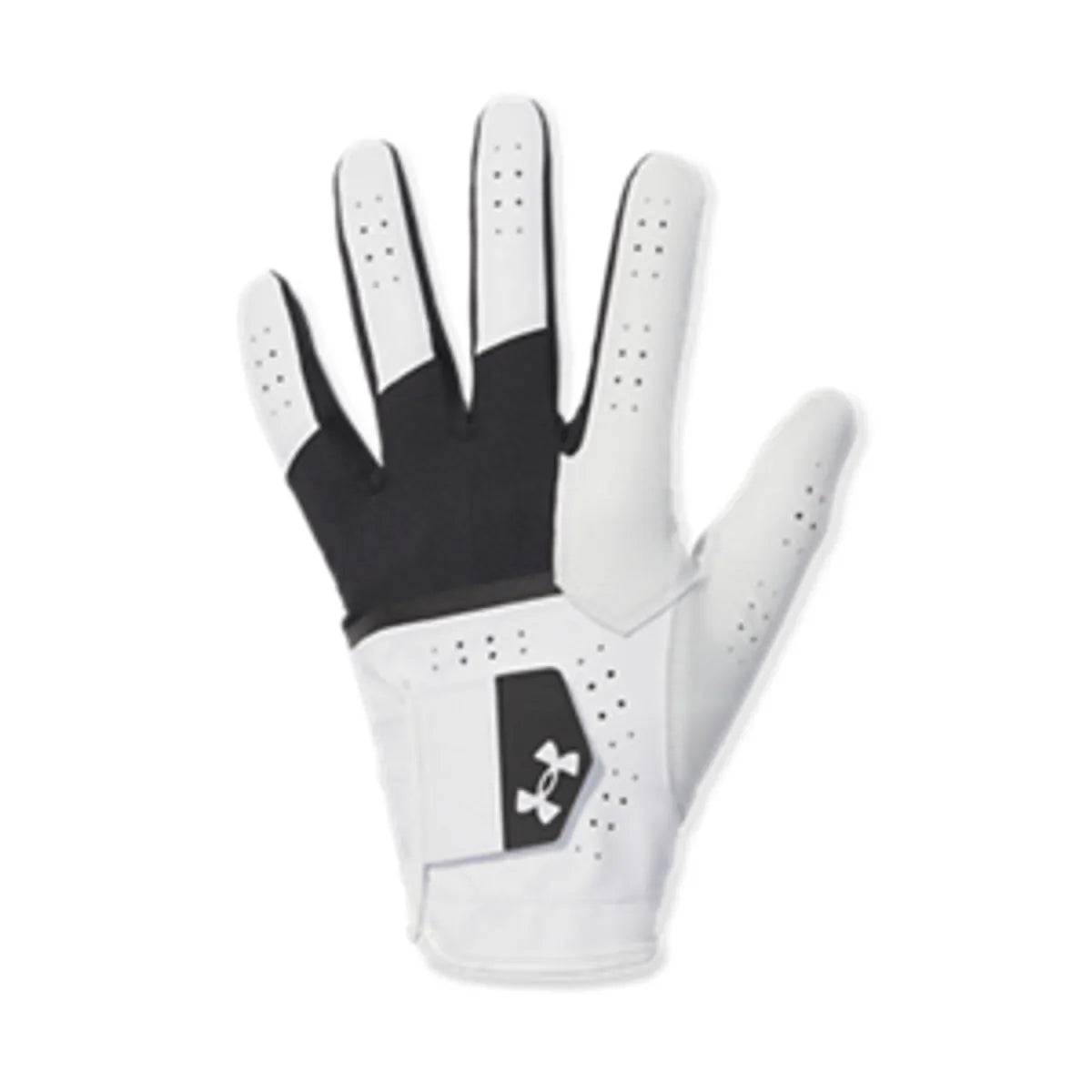 Under Armour Iso-Chill Pro Golf Glove Black - LLG