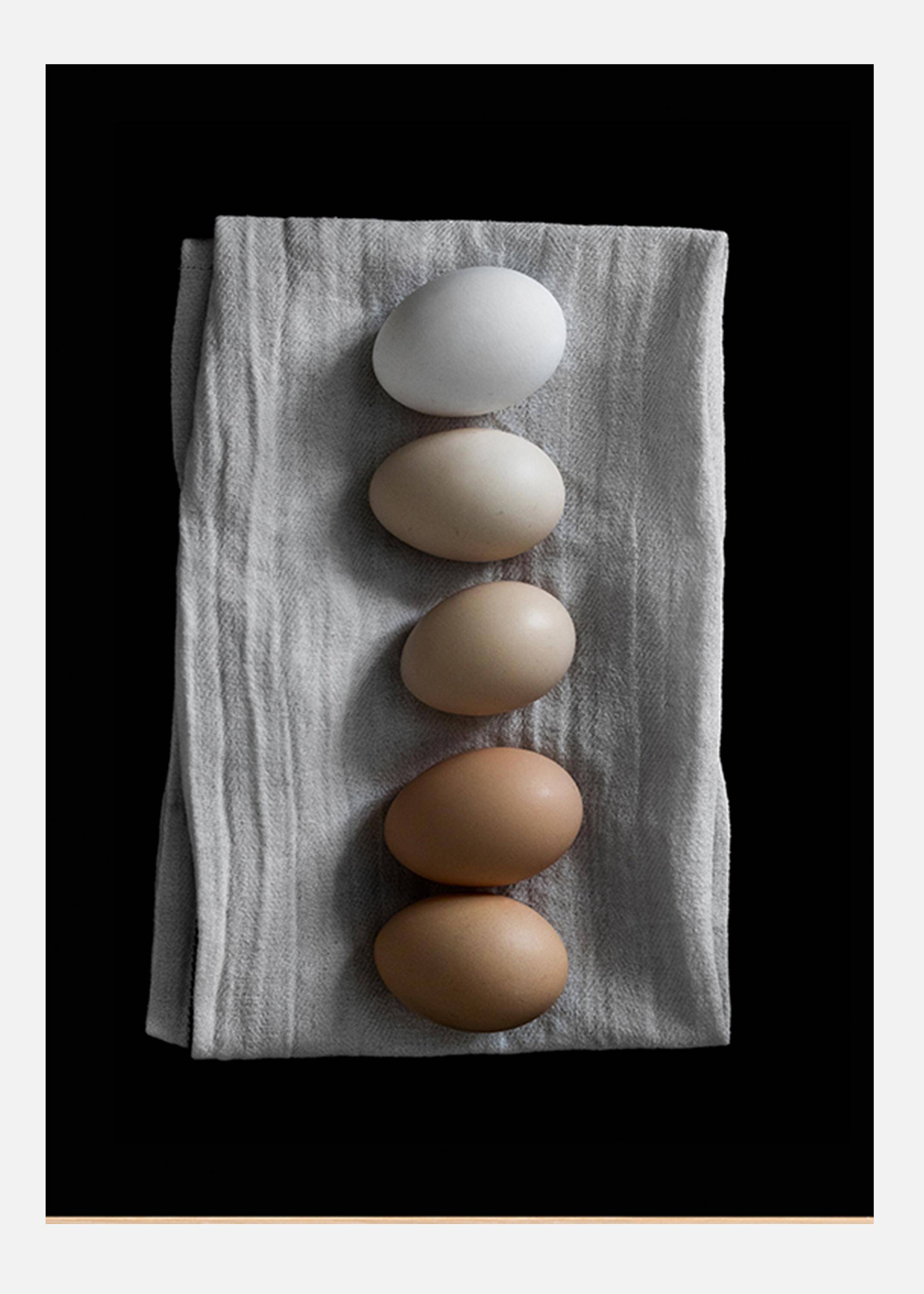 Farm Eggs Canvastavla (30x40 cm)