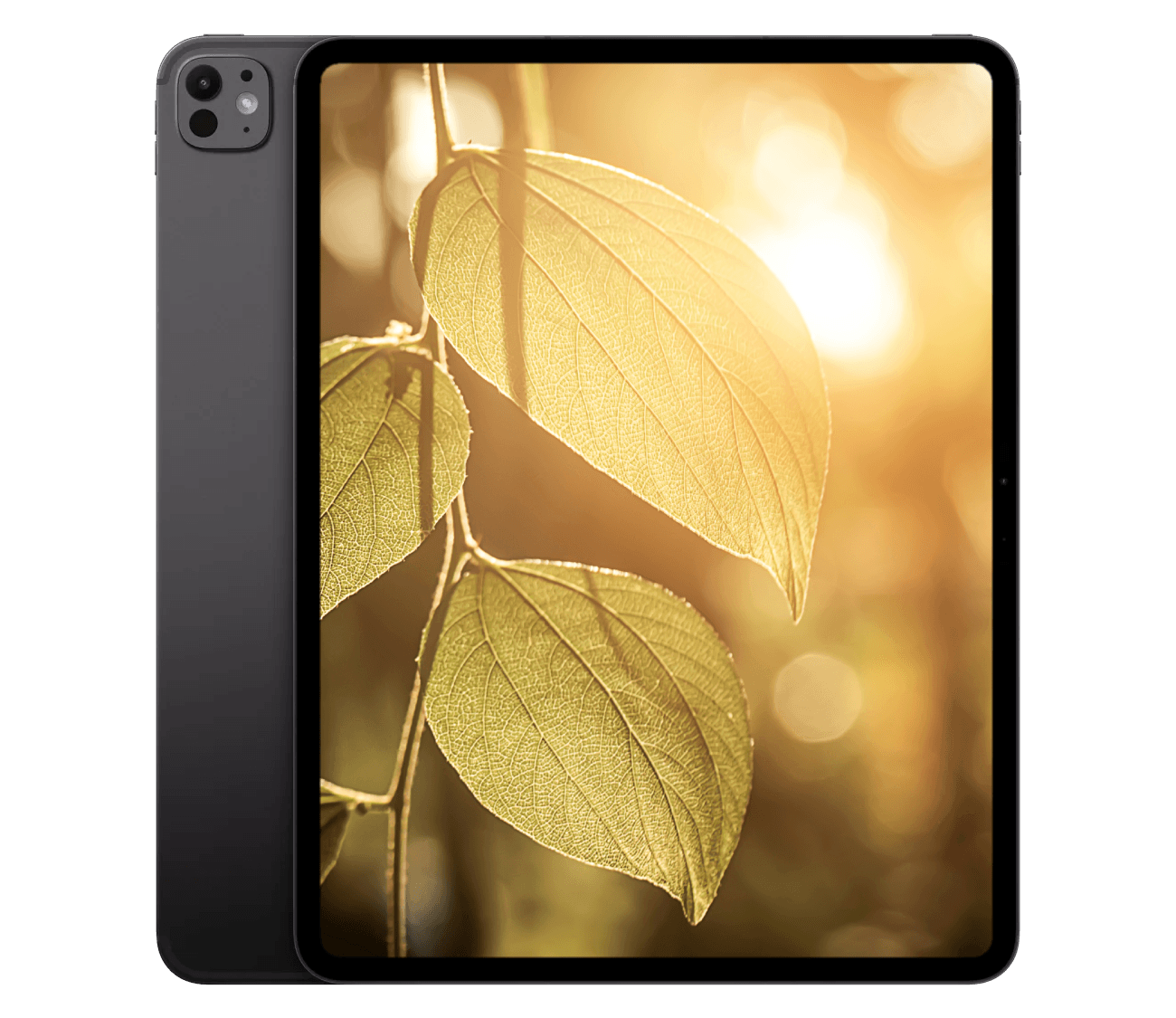 iPad Pro M5 (2025) 11" WiFi + 5G