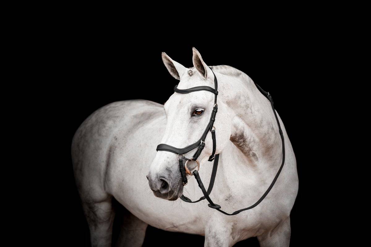 Träns Micklem 2 Competition Horseware