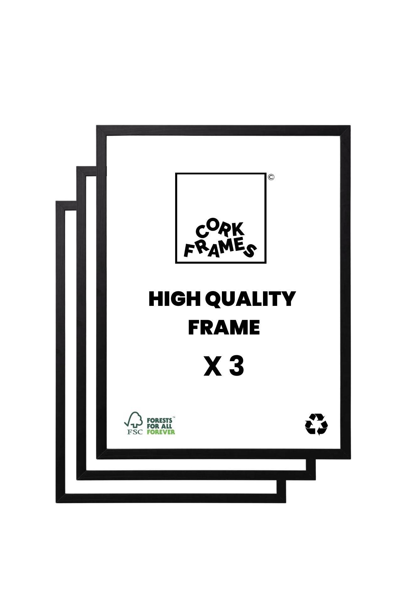Ram för Poster– Svartbetsad Ek (3-pack) - 70x100 cm / 28x40″