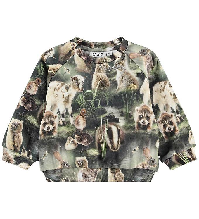 Molo Sweatshirt - Skiva - Fabel Forest - Molo - 1 år (80) - Sweatshirt