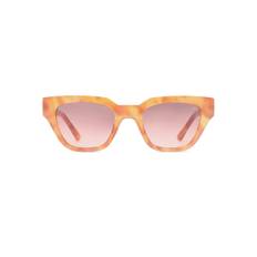 Kaws Sunglasses - Burnt Amber