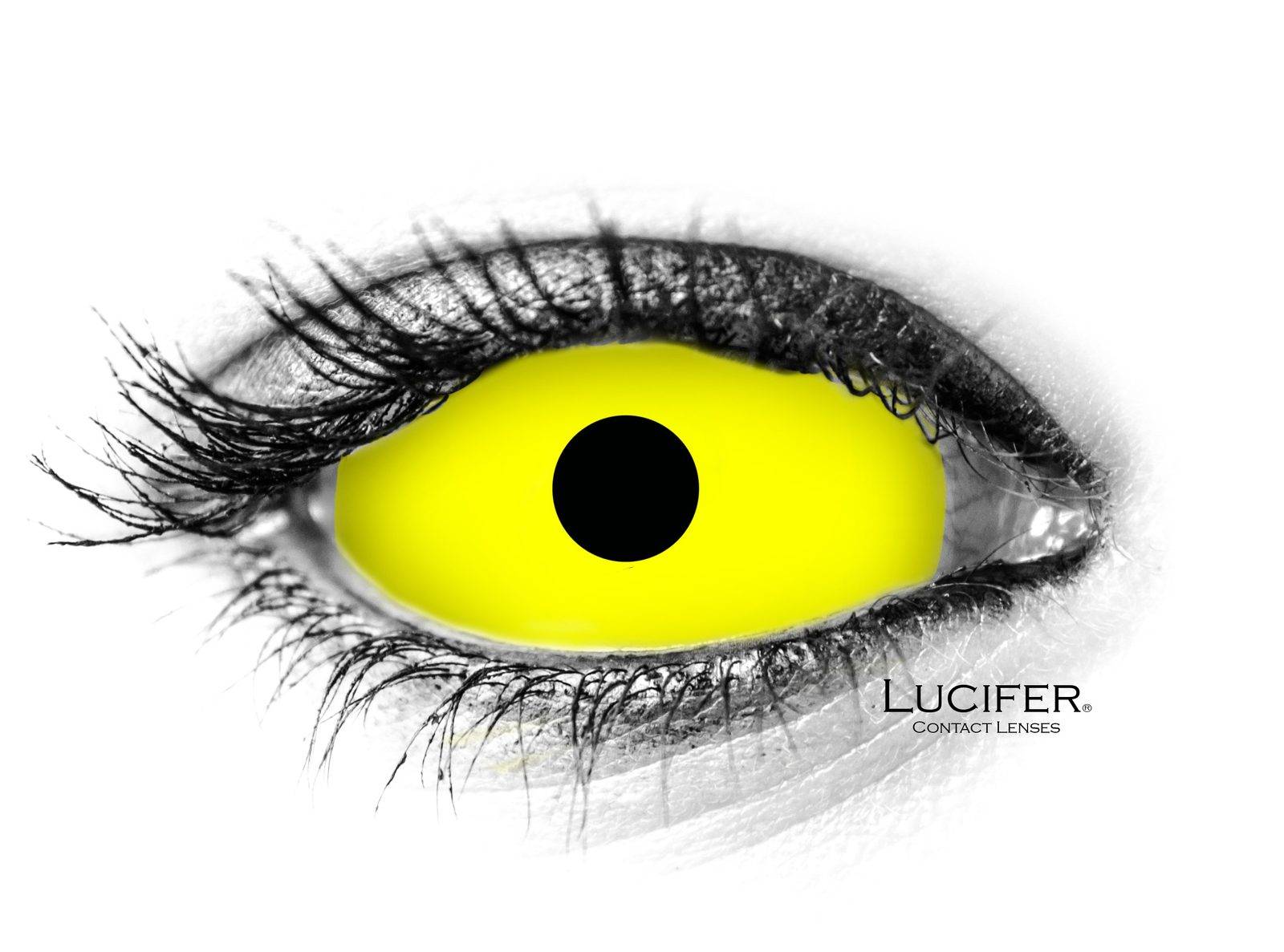 YELLOW SCLERA Contact Lenses