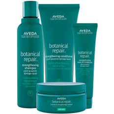 AVEDA Botanical Repair Set