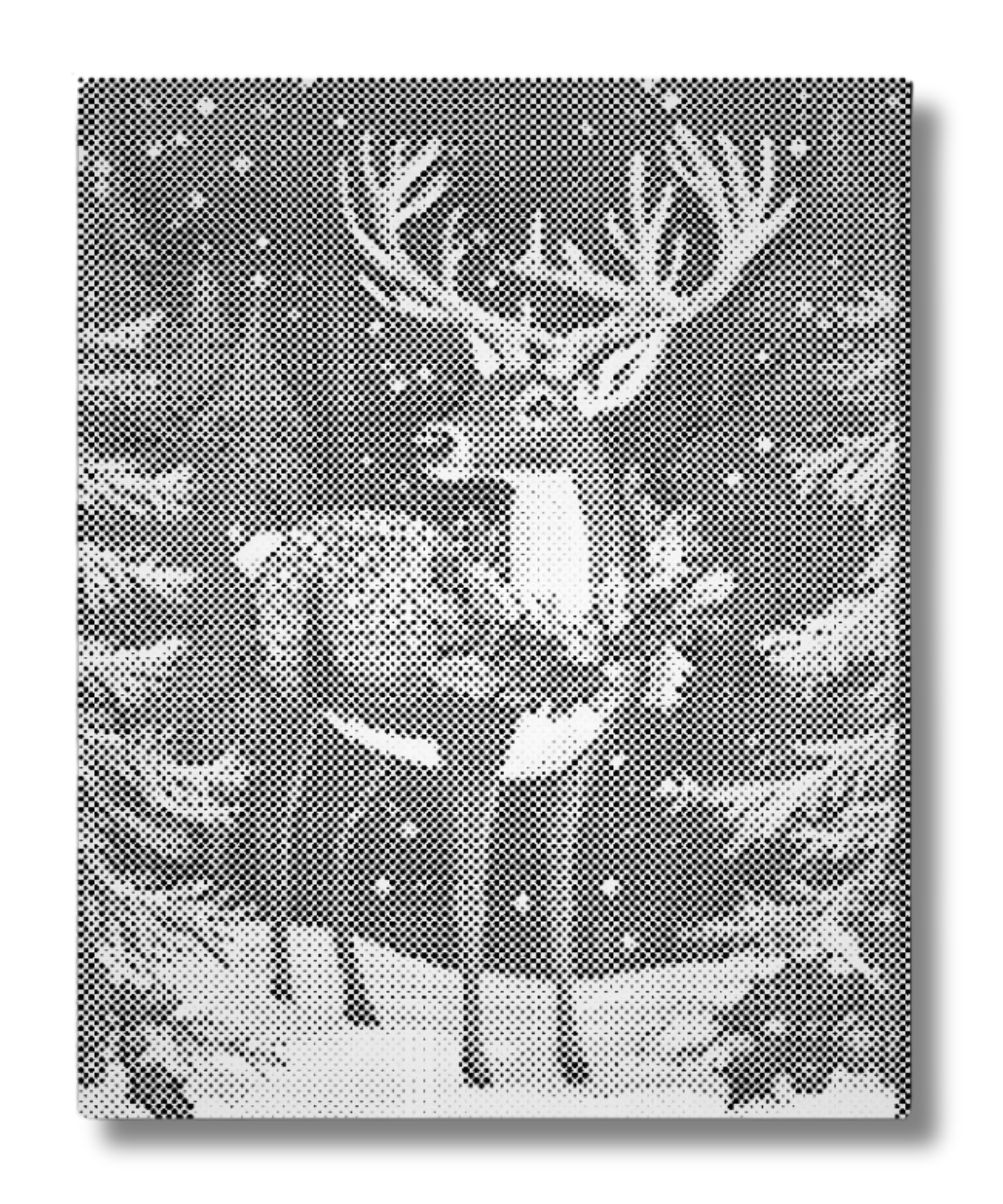 RENAR I VINTERSKOG | PRICKMÅLNING - 40x50 cm / Duk - Utan ram / Blå