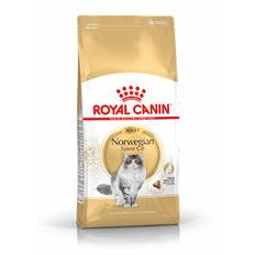 Royal Canin Norwegian Forest Adult Cat -