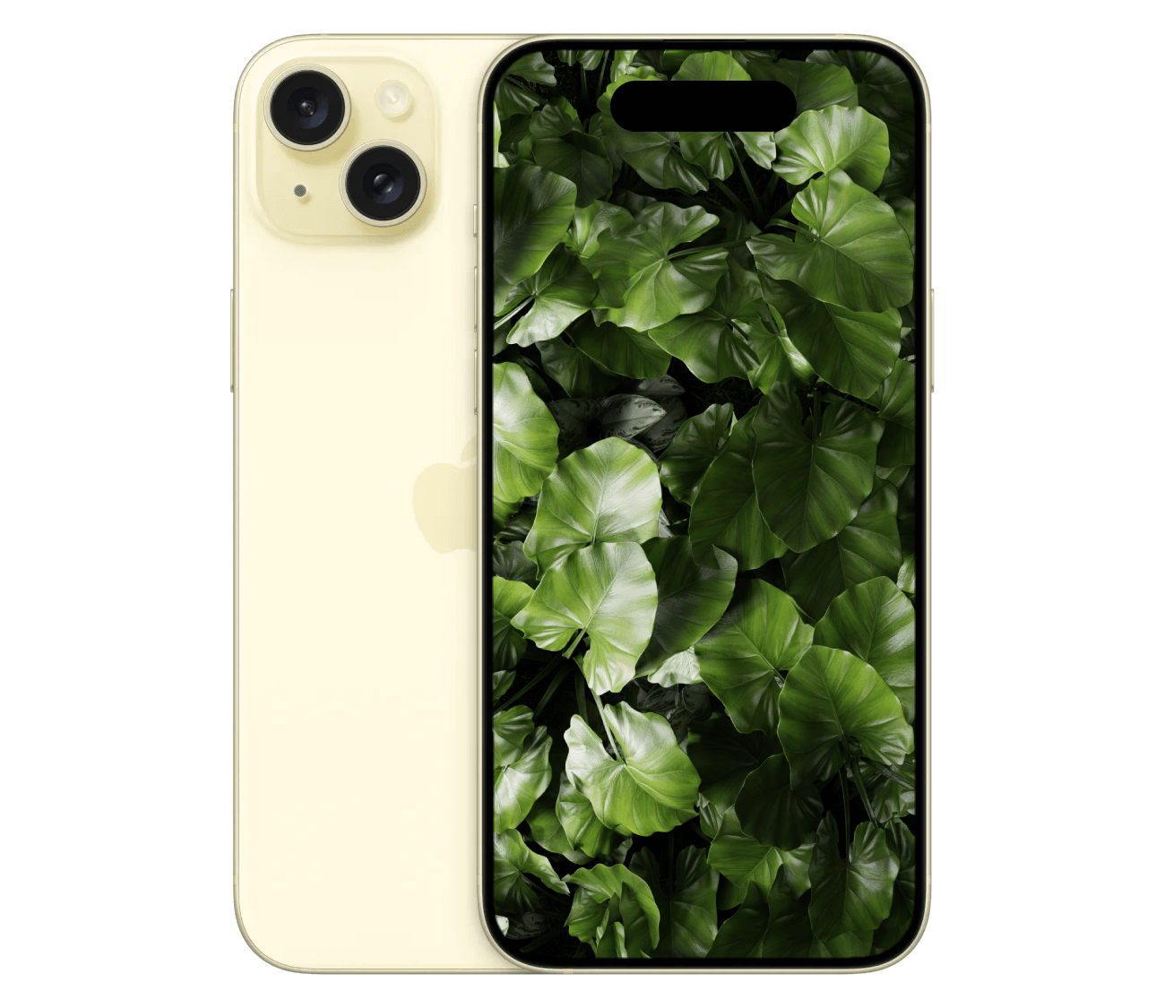 iPhone 15 Plus