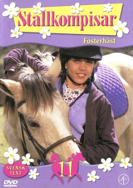 DVD - Stallkompisar # 11 - Fosterhäst (Beg)