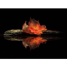 Fotografi autumn colors, Aida Ianeva, 40 × 30 cm