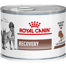 Royal Canin Veterinary Diets Dog Gastrointestinal Recovery Ultra Soft Mousse Våtfoder för katter och hundar 195 g x 12