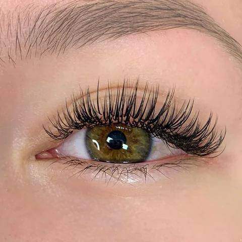 Färdiga 5D Klassiska Ögonfransförlängningar Anpassad Logotyp Våt Stil 0,07 mm Angel Lashes Bricka Vått Set CC D Böj Koreanska Fiber Tjocka Klassiker s