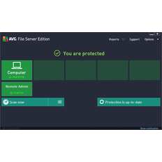 AVG File Server Business Edition Key (2 Years / 1 Device)