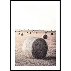 Hay Bale 21x30