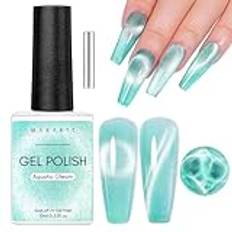 Makartt Kattöga holografiskt 9D gelnagellack med magnetisk pinne 10 ml – gelé magnetisk blötläggning av UV LED nagellack för gör-det-själv manikyr och salong