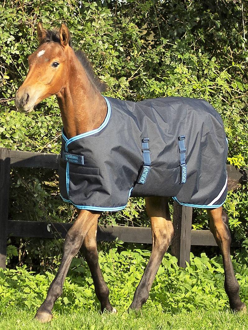 Amigo Foal Rug Ripstop 50g