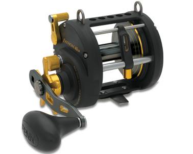 Penn Fathom 25 LW