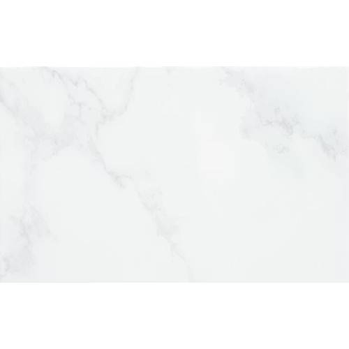 Kakel Master Gloss 25X40