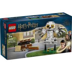 Hedwig på Privet Drive 4