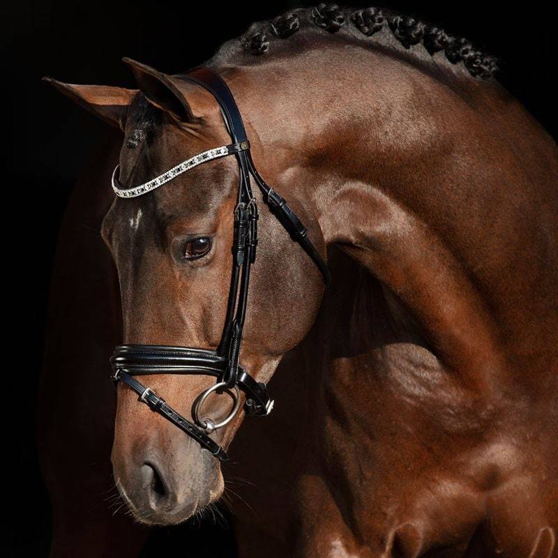Träns Aachen Ancona JH Collection® Svart