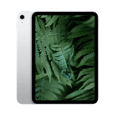 iPad 10 (2022) 10.9" WiFi / 5G