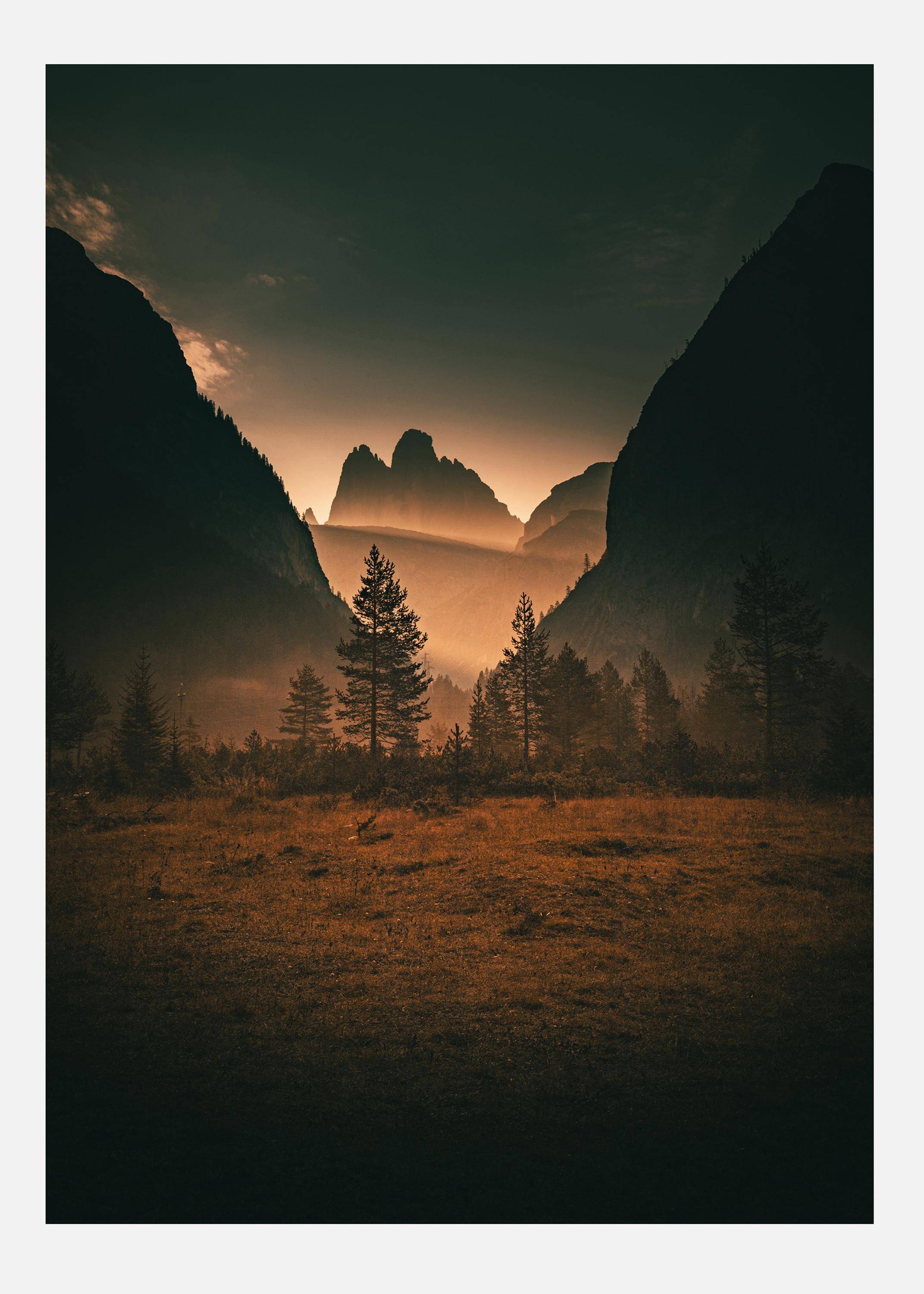 Forest Canvastavla (70x100 cm)