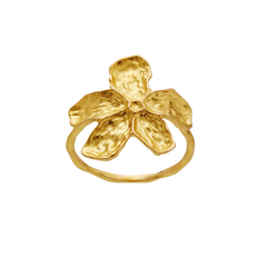 Maanesten Fraisa ring – 4824A