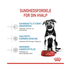 Royal Canin Maxi Puppy