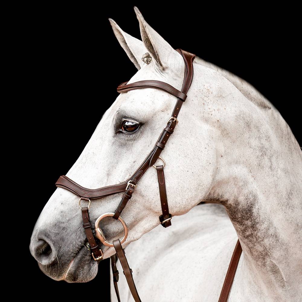 Träns Micklem Competition Horseware® Brun